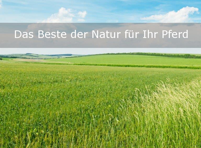 Swiss Heulage - das Beste der Natur für Ihr Pferd